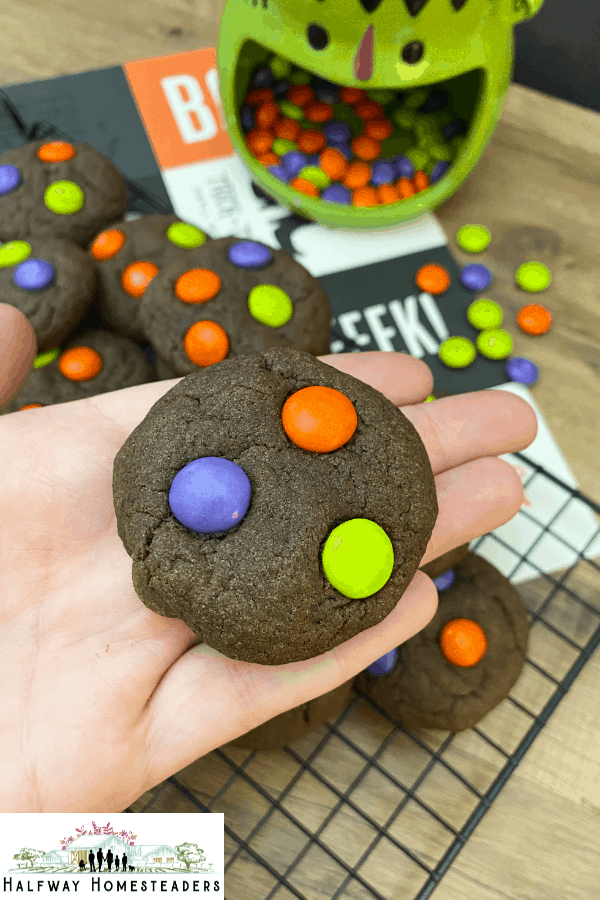 Simple Halloween MM Cookies 1