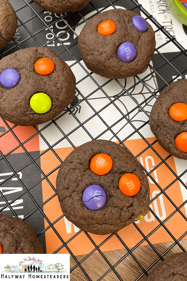 Simple Halloween MM Cookies 12