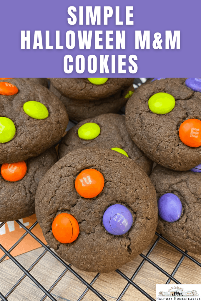 Simple Halloween MM Cookies 14