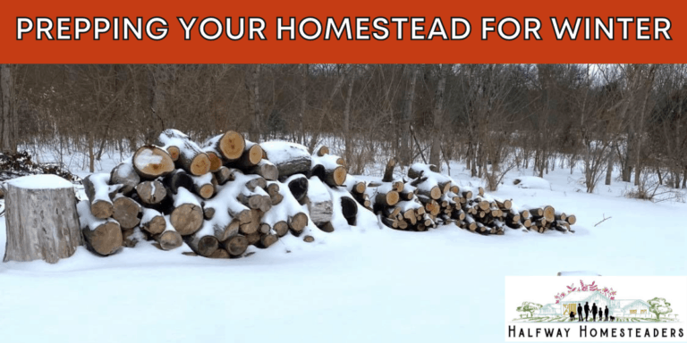 WINTER HOMESTEAD