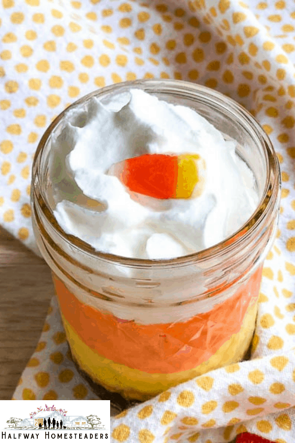 instant pot candy corn cheesecake 12