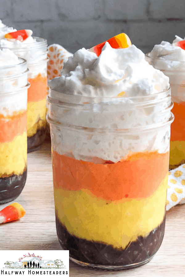 instant pot candy corn cheesecake 8