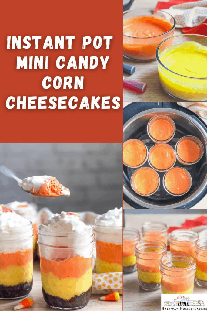 ip mini candy corn cheesecakes