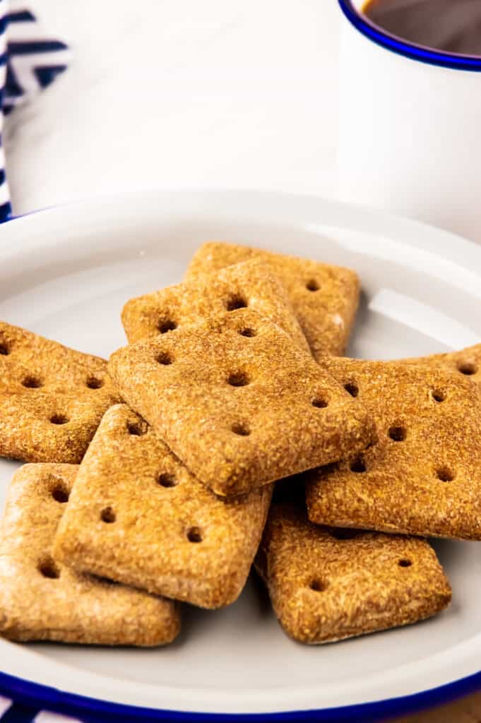 stack of hardtack crackers